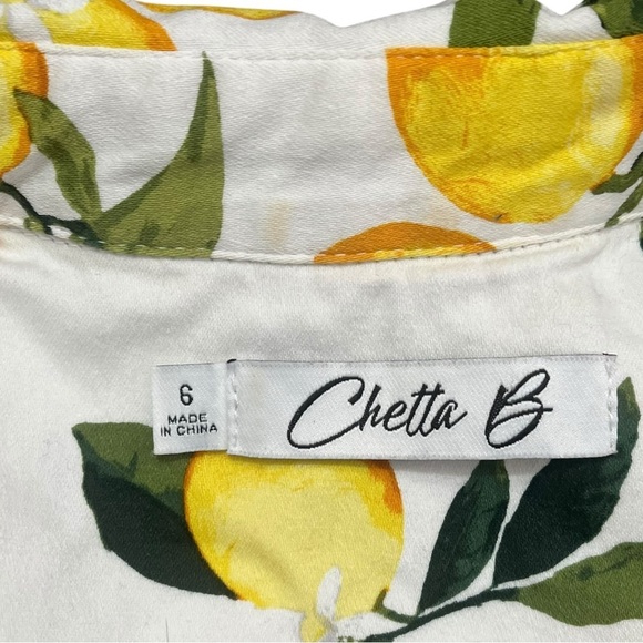Chetta B 1950s Inspired Lemon Print Button Down Dress sz 6 - Picture 3 of 13